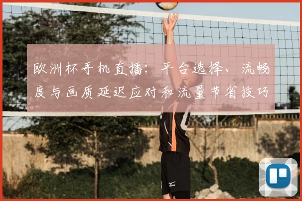 欧洲杯手机直播：平台选择、流畅度与画质延迟应对和流量节省技巧