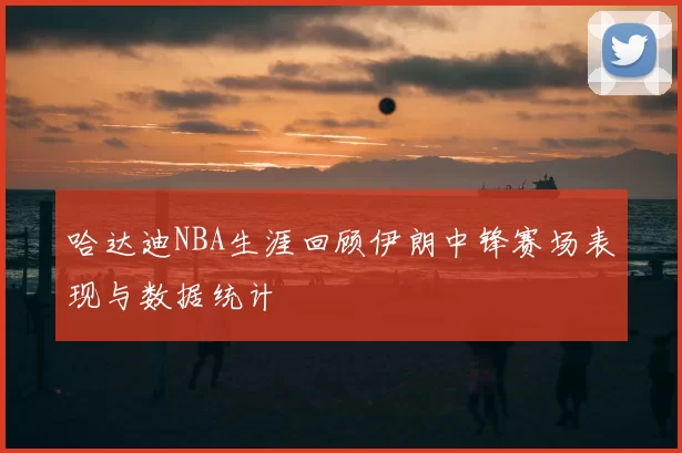 哈达迪NBA生涯回顾伊朗中锋赛场表现与数据统计