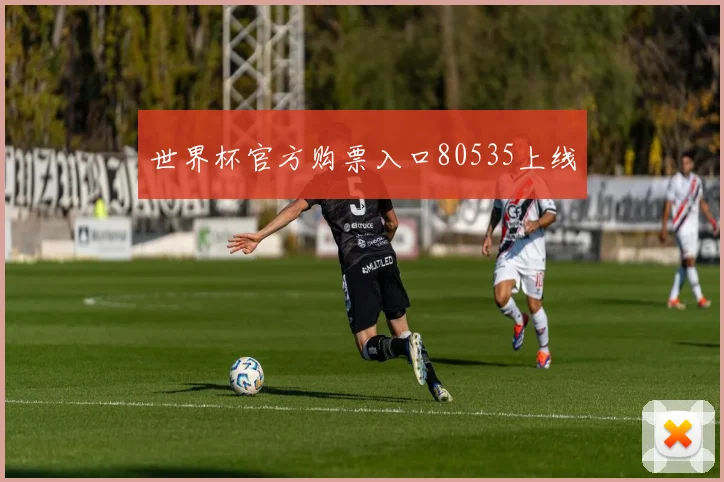 世界杯官方购票入口80535上线